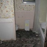 beforeandafter-27-b